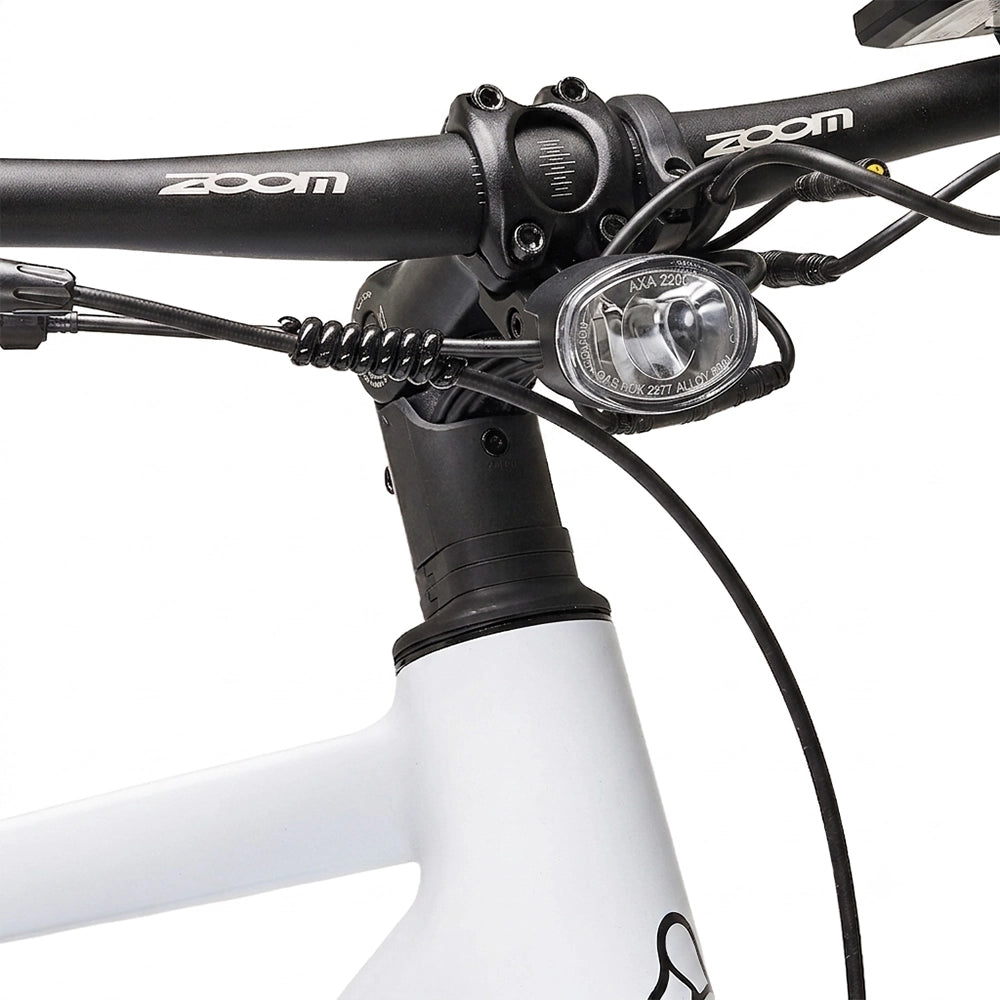 Lossø pendler elcykel