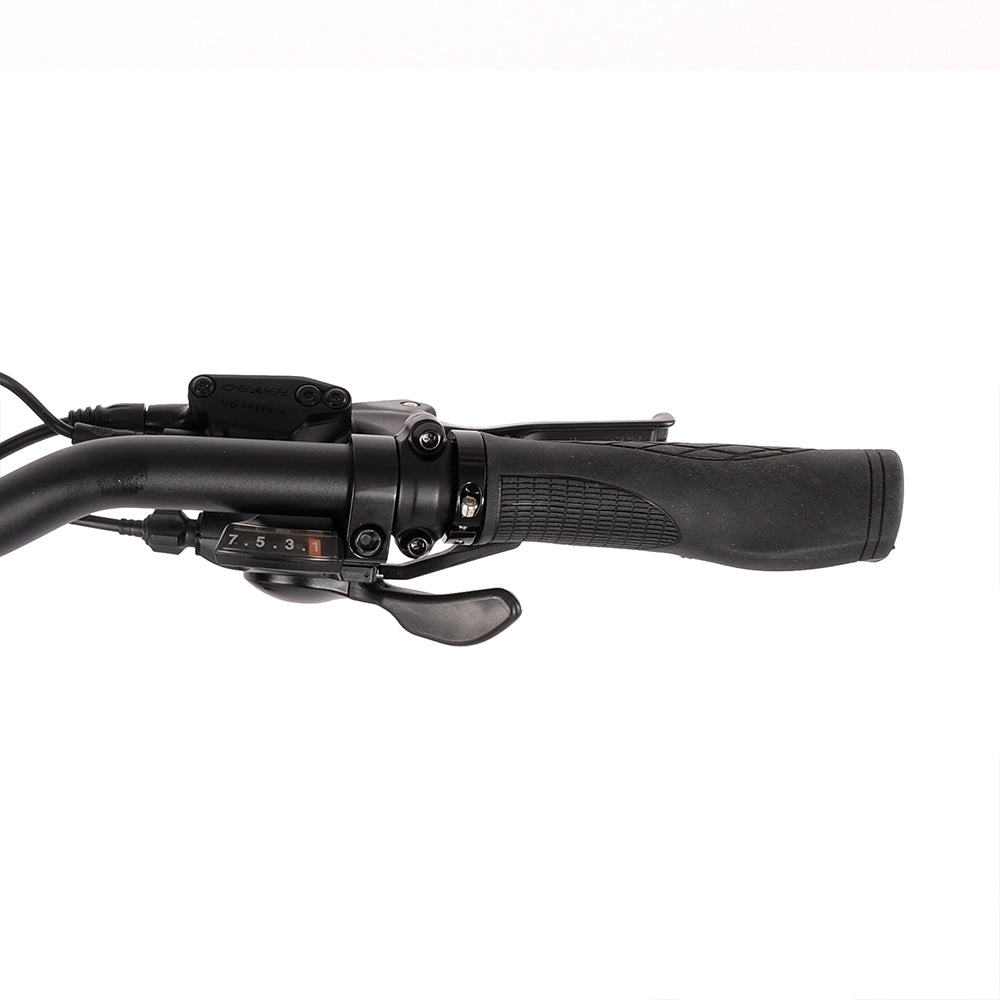Vester Step Folding E-Bike