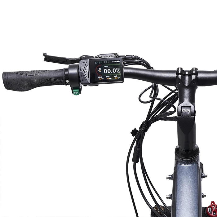 Aarhus Urban E-Bike