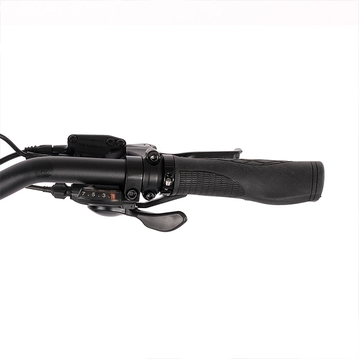 Vester Folding E-Bike
