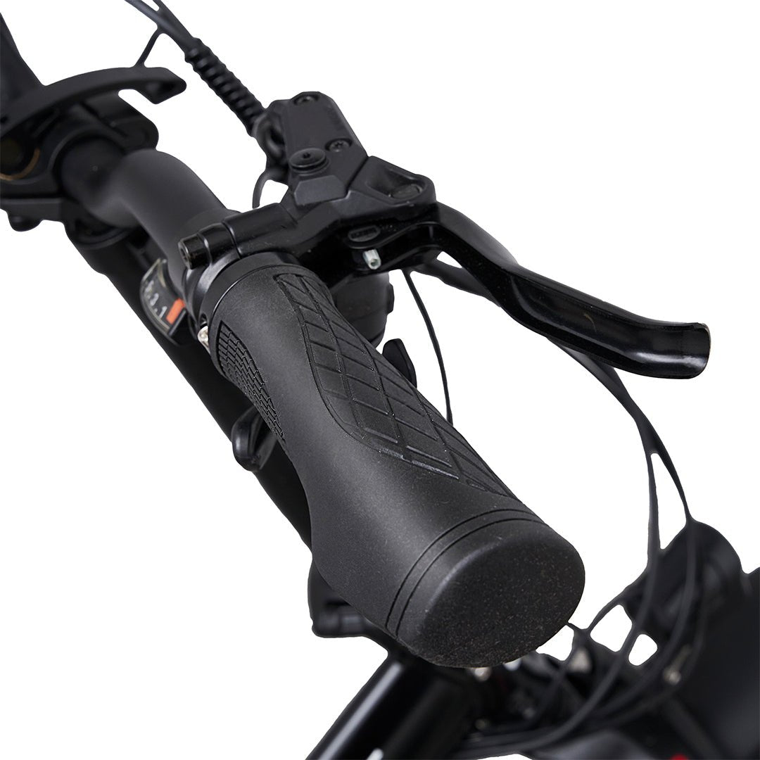 vester step e-bike