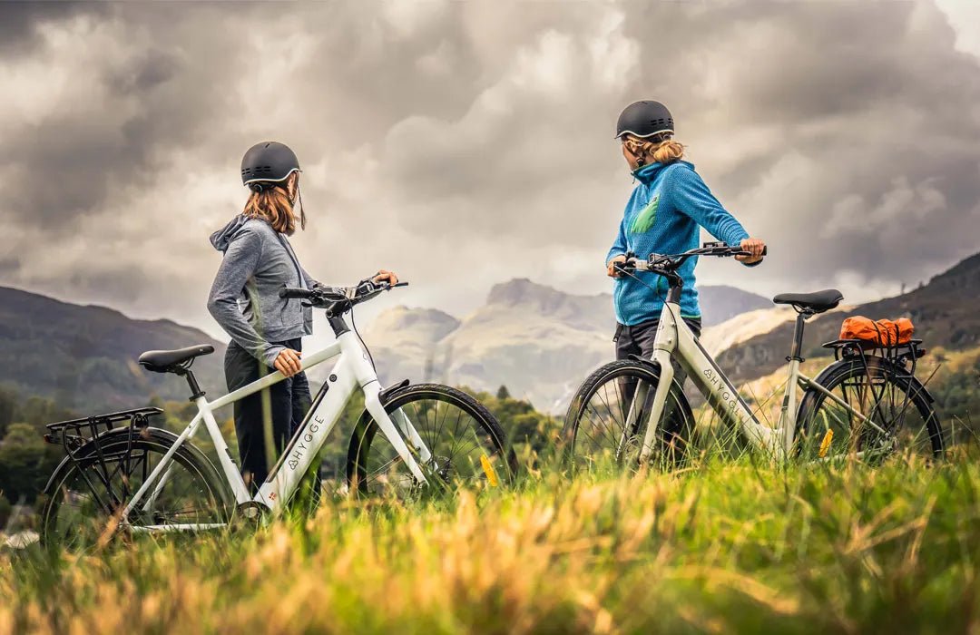 Lossø & Nivø Series