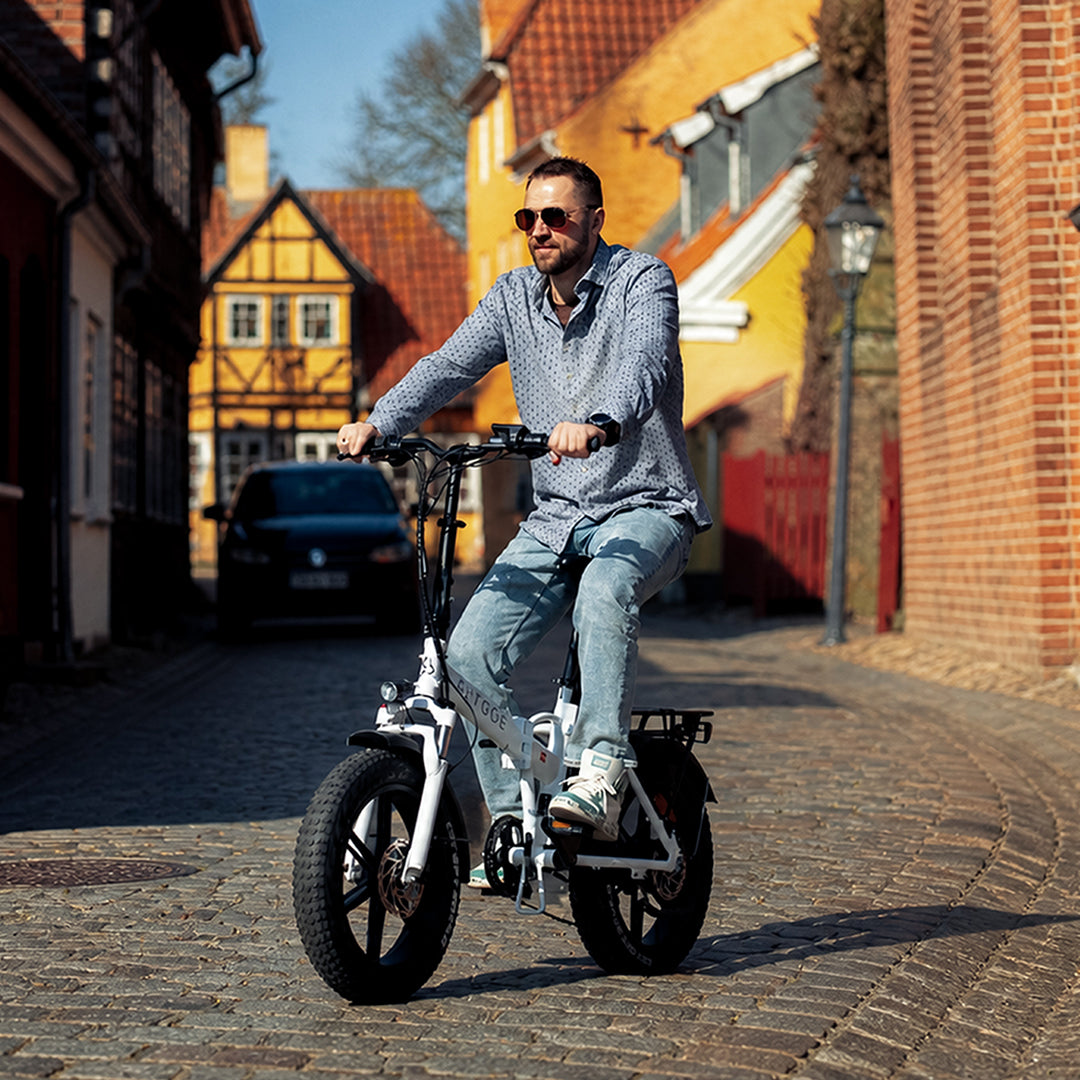 Fat Tyre Folding E-Bikes