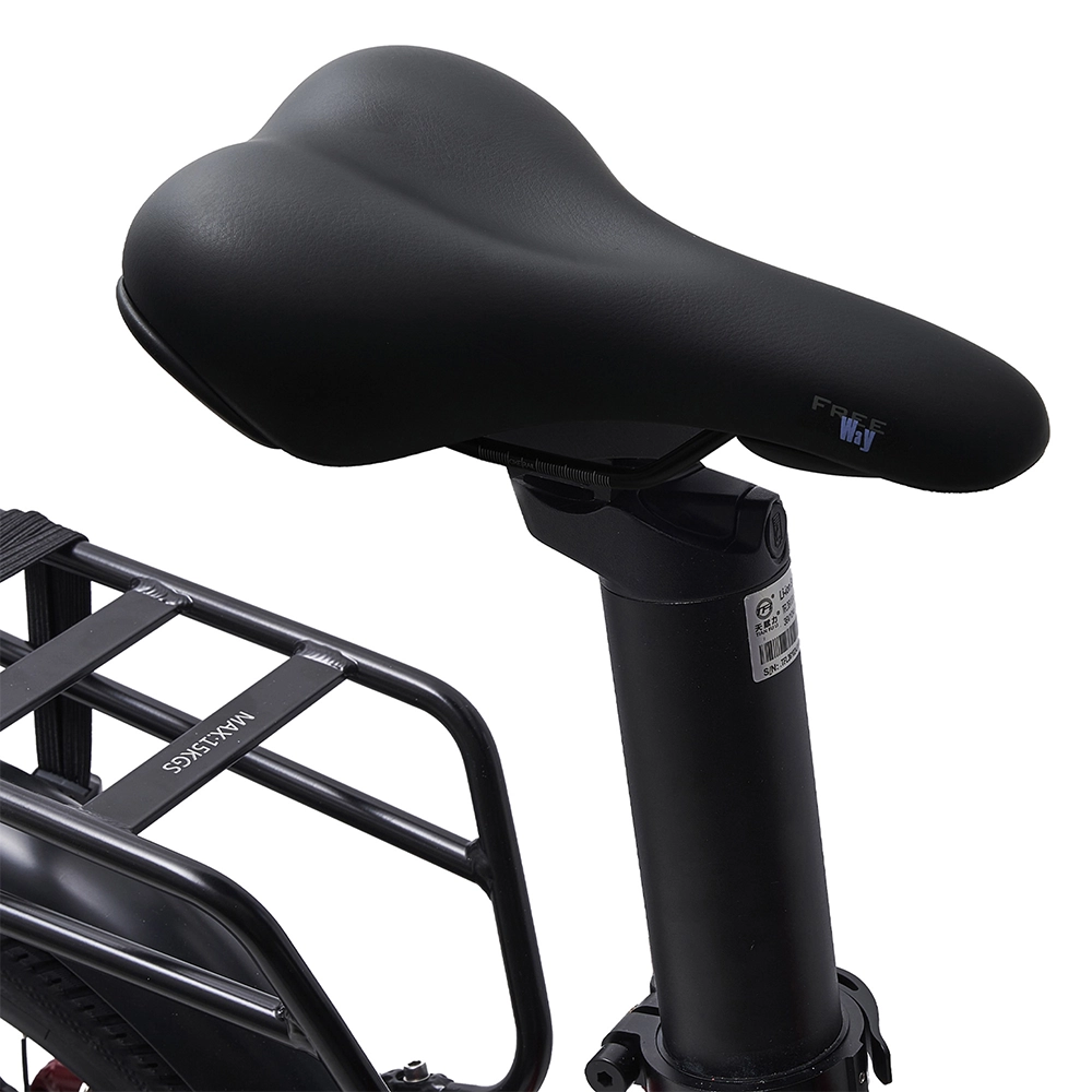 Virum Folding E-Bike